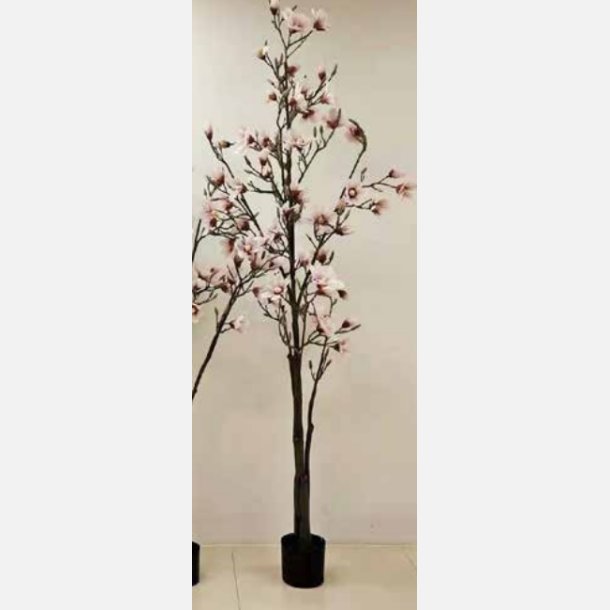 La Vida - Kunstigt magnolia træ, lyserød, i H200 cm - Blomster - Brugskunst By DT